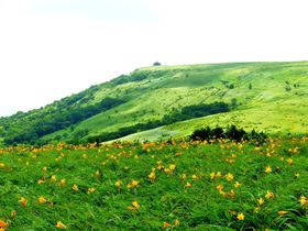 �ԎR�Ńj�b�R�E�L�X�Q�A�������������ō��R�A���ɏo��M�B������U��̋L���T���l�C��