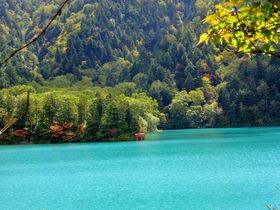 MBEuꍂŐ_̋Prڎw[gbLŐLTlC