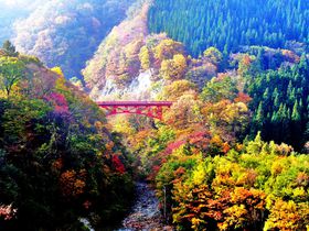 信州「松川渓谷」を彩る鮮やかな紅葉美と滝を満喫ドライブ
