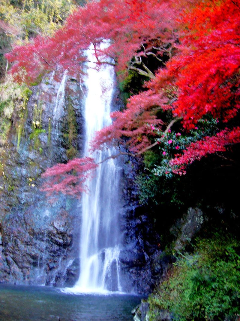 「箕面の滝」に癒される！大阪から電車でお手軽紅葉ハイキング