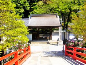 奈良の名刹「室生寺」優雅さと気品溢れるその魅力とは？