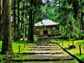 開山1300年の石畳と苔が彩る山岳信仰の聖地･福井「白山平泉寺」