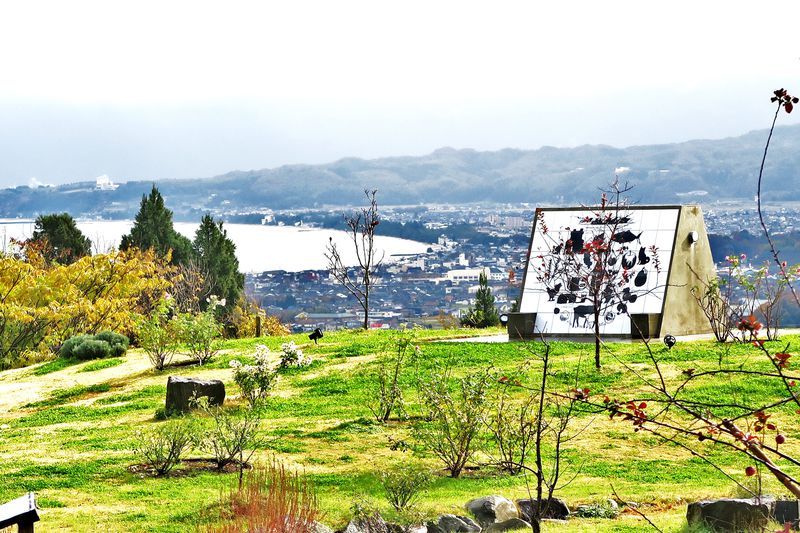セイズファーム(SAYZ FARM)は富山湾を見下ろす葡萄畑の桃源郷