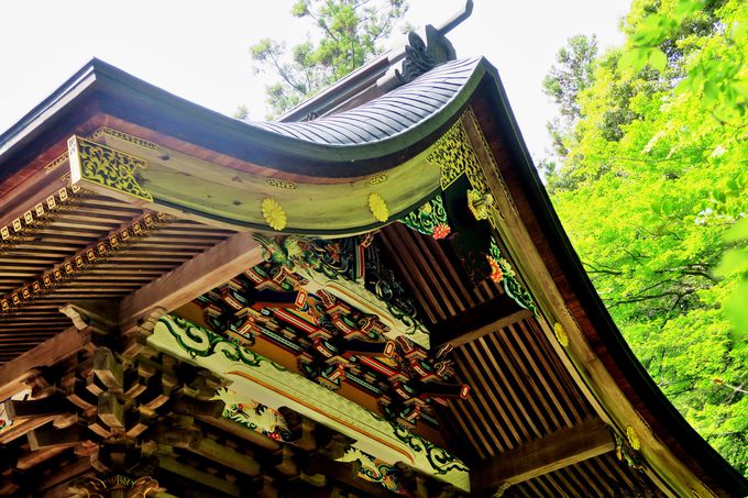 ミシュラン一つ星のパワースポット「宝登山神社」