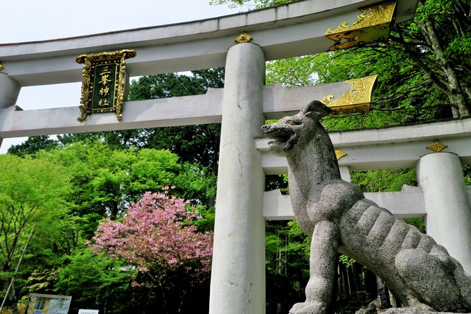 標高1100ｍの秘境に佇む関東最強のパワースポット「三峯神社」