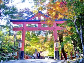 滋賀で訪れたいおすすめの神社10選 知られざる歴史を秘めた社
