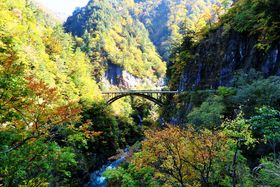 uR싽zCg[hv͎Ri̐ihCu[h̋LTlC