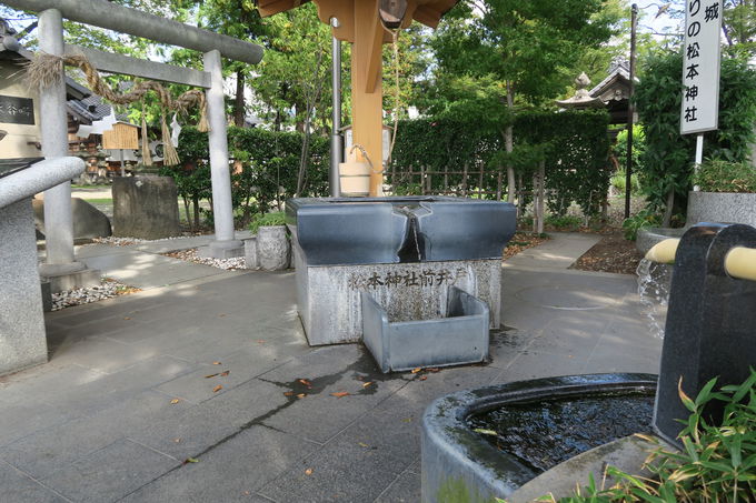 お堀の水をたどるコース：松本城北門からスタート