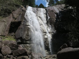 信州南木曽「田立の滝」は神の住家！幽谷に次々あらわる迫力の滝群