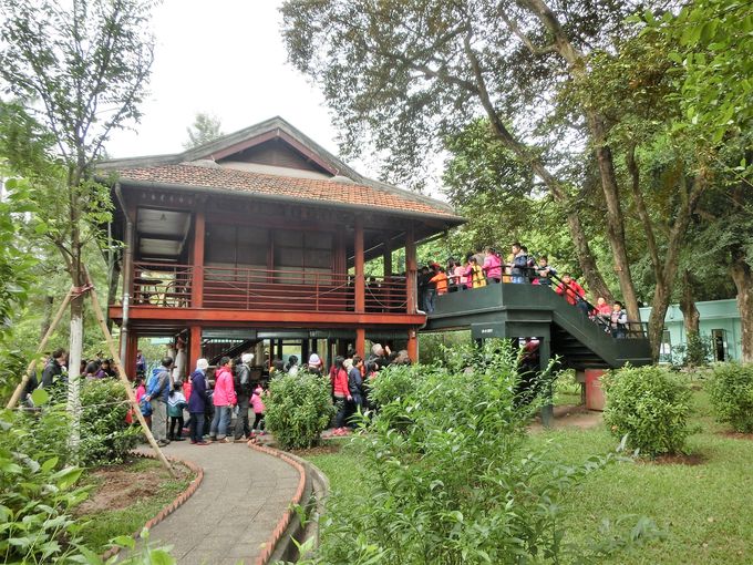 �哝�̃z�[�`�~���̕�炵�Ԃ�