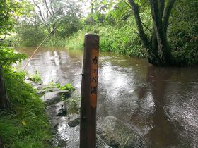 �g�J�b�p�ߊl���؁h��Y�ꂸ�ɁI��艓��u�J�b�p���v�œ`�������؂��闷�̋L���T���l�C��