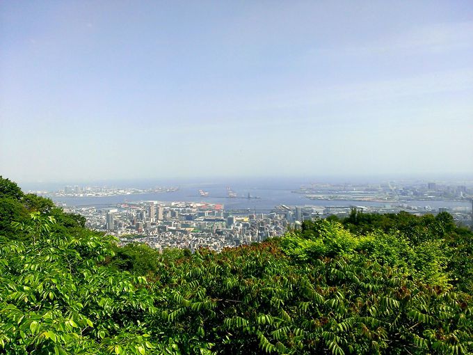 ロープウェイから眺める神戸の街並みは絶景です