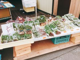 旬の食材が豊富に並ぶ！秋田県で最も歴史ある「五城目朝市」へ