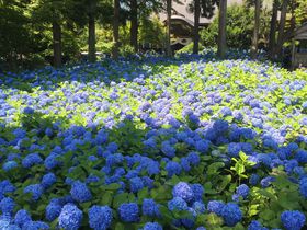 �j���̐�i�X�|�b�g�I�u�_�����v�̂��������������Ȃ��̐��E�̋L���T���l�C��