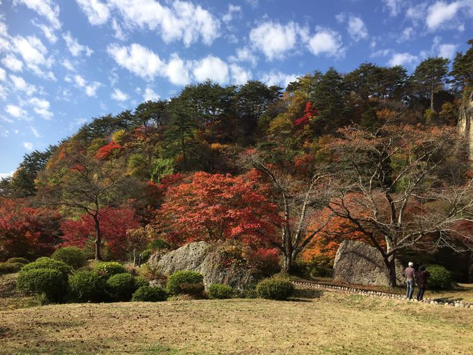 「きみまち阪」の見どころ！屏風岩と紅葉のコントラスト
