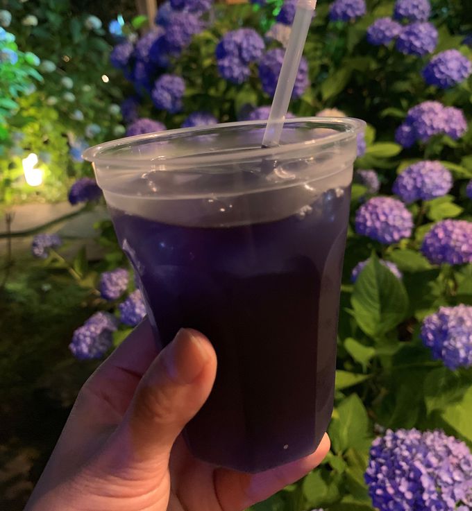 ́u_vŐÂɐ̐EɂЂ낤I