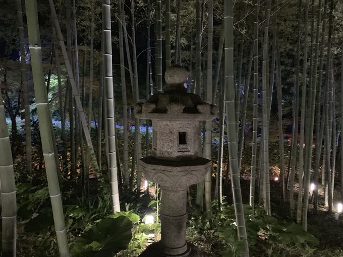 ́u_vŐÂɐ̐EɂЂ낤I