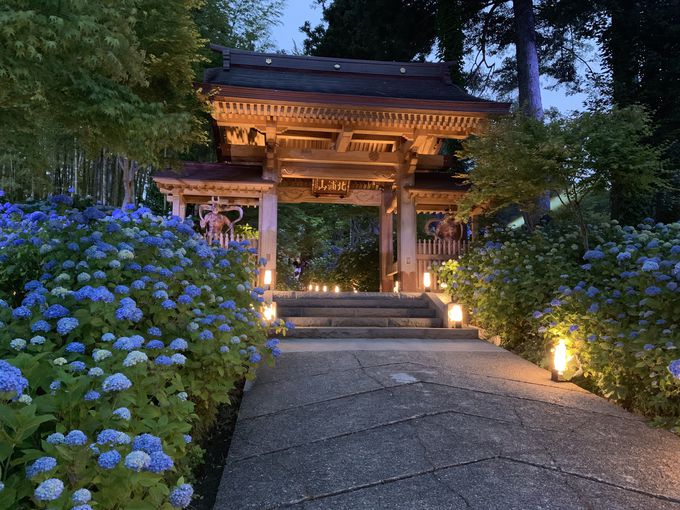 ́u_vŐÂɐ̐EɂЂ낤I