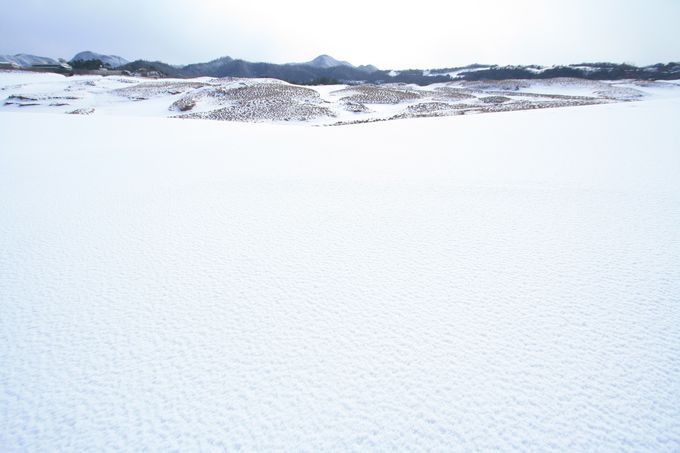 鳥取砂丘に雪が降ると…神秘的すぎる白の絶景が出現！ | 鳥取県 