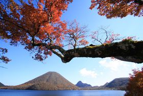 Qn̂ߍgtX|bg10I 뉀tHgWFjbNIy2024z̋LTlC