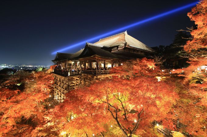 秋の京都観光の締めくくりに相応しい絶景がそこに！
