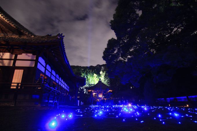 12月上旬まで楽しめる 京都 青蓮院のライトアップ 京都府 トラベルjp 旅行ガイド