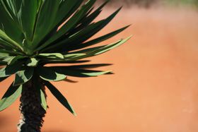 ���Ȃ��͒n���������������H�啪�ʕ{�Œn���߂���̋L���T���l�C��