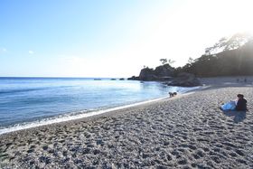 �����m����{���n�����������I�j�l�ō��m�̕����𖡂킨���̋L���T���l�C��