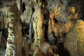 EB!?msu͓v֐_̚ɍs̋LTlC