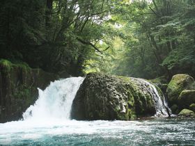 滝も巨木も渓流も！熊本「菊池渓谷」の魅力を写真に収めよう