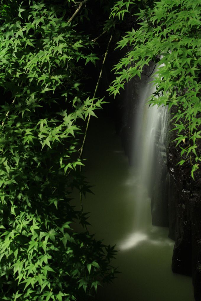 夏季にはライトアップされる真名井の滝