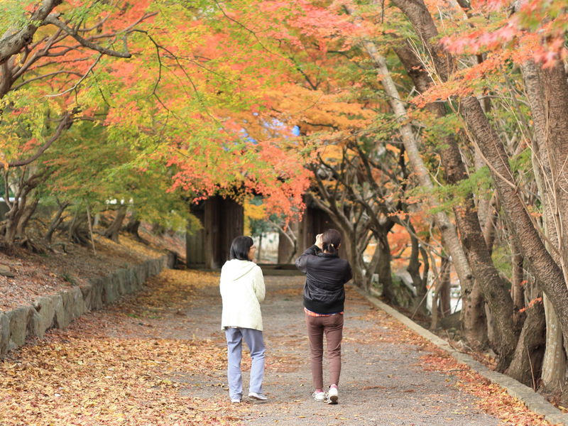 「丈六寺」は徳島の穴場紅葉名所！紅葉のグラデーションで秋を楽しもう