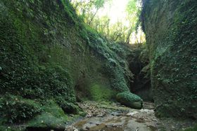 ���m�̐�i���������I����h���Ԃ��鎩�R�X�|�b�g10�I�̋L���T���l�C��