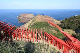 �p����������Ȃ��I�R���̃t�H�g�W�F�j�b�N�Ȑ�i�܂Ƃ߂̋L���T���l�C��