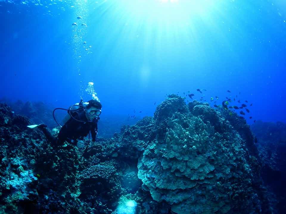 サイパンの海でダイビング マリアナブルーが味わえるスポット3選 サイパン 北マリアナ諸島 トラベルjp 旅行ガイド