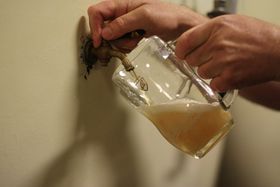 �`�F�R�r�[����m��I�u�h���@�C�[���E�u�h���@���̃r�[���H�ꌩ�w�̋L���T���l�C��