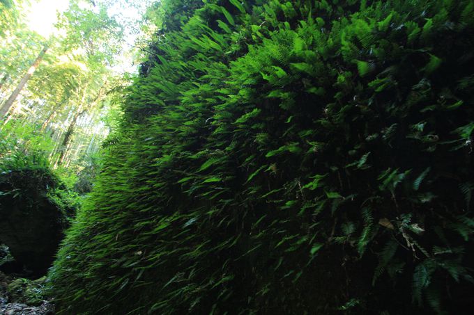 mōŋߘb̃X|bguɔؓv