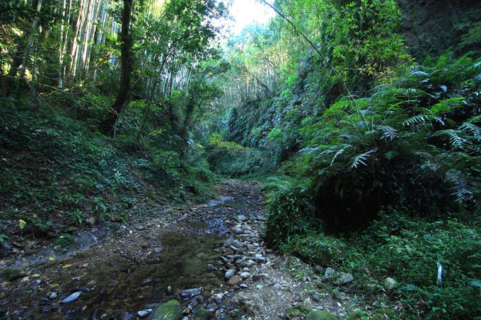 mōŋߘb̃X|bguɔؓv