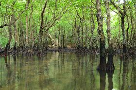 siCT[͕̑KI\̓cA[N[YŊy̋LTlC