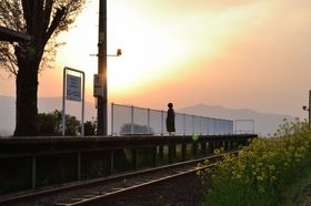 �숢�h�S�������̂������ߊό��X�|�b�g6�I�I�l�C�̃g���b�R��Ԃ��̋L���T���l�C��