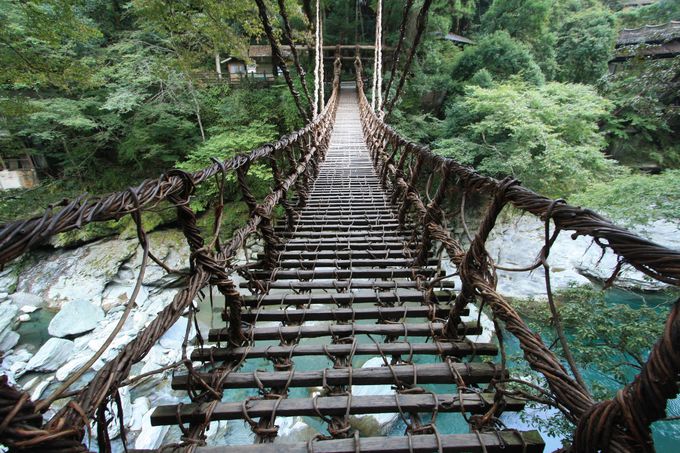 싛HׂėECoAX_݂̒苴GOI