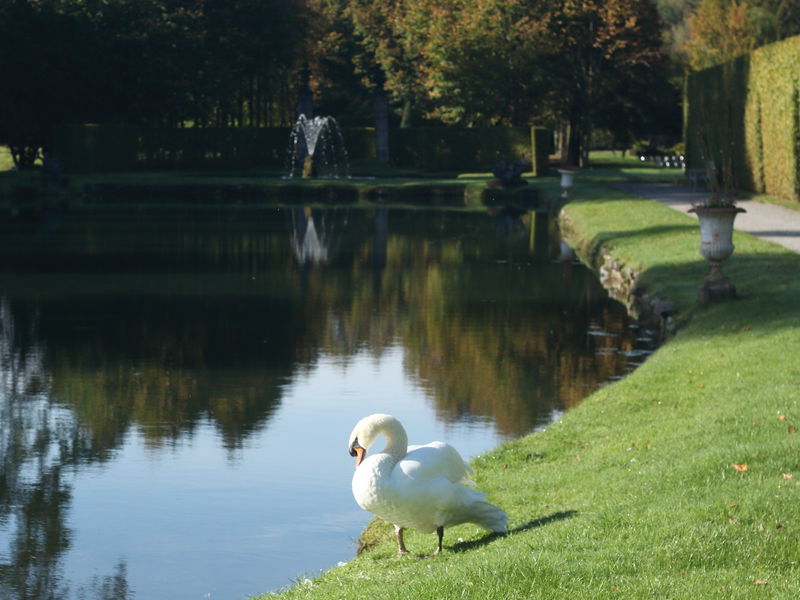 ベルギーワロン地方「アンヌヴォワ庭園」は自然溢れる憩いの場