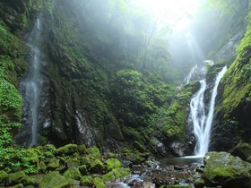 雨乞いの滝は徳島神山町の癒しスポット！緑溢れる滝名所を愛でろ