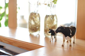 ̋_ɁIWÁuushiyadov͋e[}̃QXgnEX̋LTlC