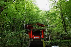 �����Ղ�������Ȃ��I�u�㓪���_�Ж{�{�v�͔����̐X�ɘȂމ����т̐_�l�̋L���T���l�C��