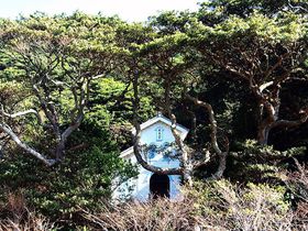 ]ɂЂȂޒ茧Eޗ̖ؑu]V哰v̈炵p͕KI̋LTlC