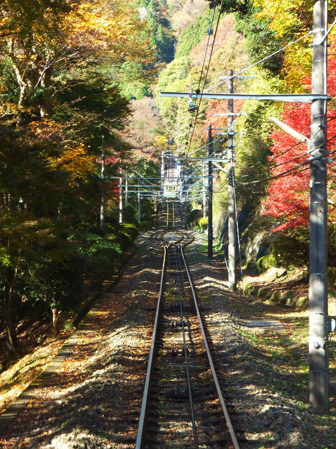 これぞ日本の秋！「高尾山」お手軽登山で美しい紅葉＆富士山を満喫（東京）