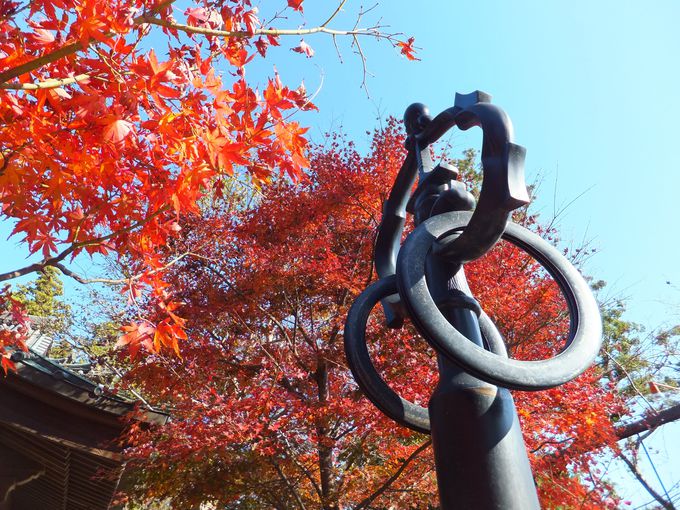 これぞ日本の秋！「高尾山」お手軽登山で美しい紅葉＆富士山を満喫（東京）