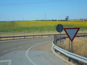 ��i�X�e�C���I�Ђ܂��̍炭�������E�X�y�C���u�J�����i�v�̋L���T���l�C��