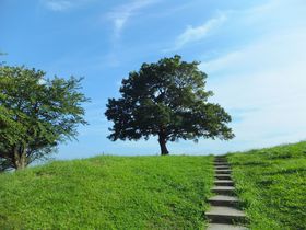 緑の丘の「ゆずの木」へ。横浜・清水ヶ丘公園はゆずっこ聖地＆ロケ地のメッカ！
